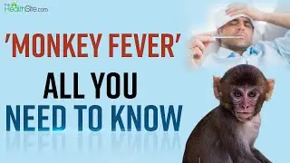 Monkey Fever: All You Need to Know | Monkey Fever in Kerela