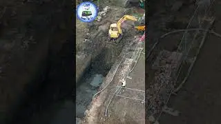 Westfield Dig KESCRG Short