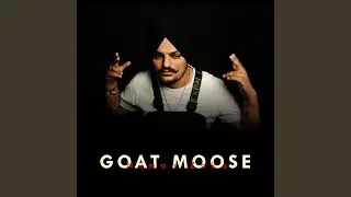GOAT MOOSE