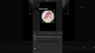 POWER WINDOW in DaVinci Resolve. 