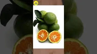 Did you know the green Oranges 🍊 😀