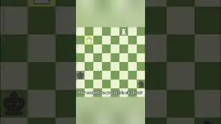 Chess moment