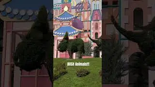 Bush Animals @ Disneyland in PARIS, FRANCE!!!