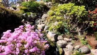 Botanisk Have, K&oslash;benhavn / Botanical Garden, Copenhagen