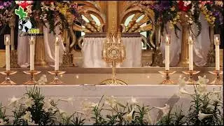 1 hora de Adoraci&oacute;n a Jes&uacute;s Sacramentado por Radio La Voz del Se&ntilde;or