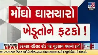 Crop failures and fodder crisis deepen troubles for Banaskantha farmers | Gujarat | TV9Gujarati