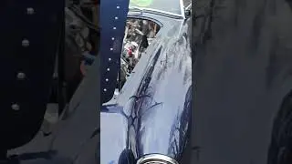 Cobra V8 351 Cleveland Race Car with Nitrous, Recomissioning.. Stunning Sound, Beautiful Looks!!