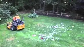 I shred CottonBelt's video games, DVDs, CDs & CD Roms