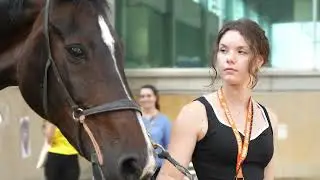 Presentazione Docente - Alessia Dalla Torre | Corso Assistente Veterinario e Gestione del Cavallo 🐎