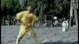 Shaolin Pan Long Gun 盘龙棍