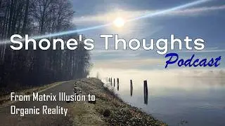 🥬 Celery, Rain & Reality: Thoughts on Life Beyond the Matrix 💭 Shone&rsquo;s Thoughts #mindfulness