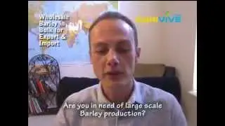 Broker For Bulk Barley, Barley Import, Feed Barley for Sale, Feed Barley Seed, Feed Barley, Barley