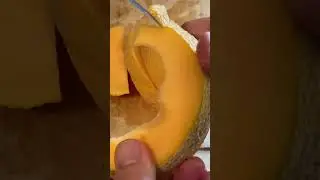 Cutting up fresh Cantaloupe from the Garden #healthy, #cantaloupe , #cuttingskillsCantaloupe