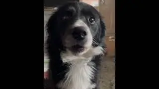 Посвящение моему любимому актеру