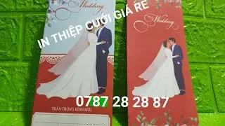 #1001 Mẫu thiệp cưới gi&aacute; rẻ -Thiệp cưới mẫu mới / Thiệp cưới hiện đại - Ph&ocirc;i thiệp gi&aacute; rẻ - Mẫu 3