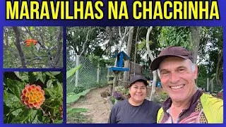 ELES ESTÃO TRANSFORMANDO ESSE LUGAR | Muito Trabalho Duro | Simplicidade na Roça | Chácara do Zero