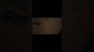 #art #drawing #dontusemytagspls TW:!!! (Just a fun SHort vid)