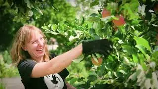 SKILLS & WELLBEING AT ST WERBURGHS FARM