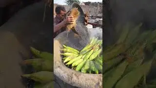 Cooking Corn on the Cob in Corn Coal Ash | Traditional Method 🌽🔥