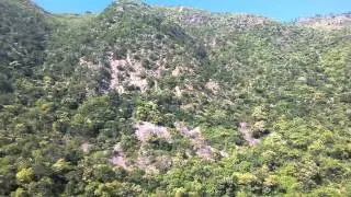 tranquilising scene of kumaun hills
