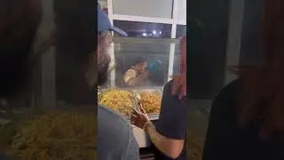 Это лучшее место для джоллофа в Абудже? Возможно, так оно и есть 😂 Кто знает название этого места...