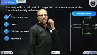 The body cells in cockroach discharge their nitrogenous waste in the haemolymph mainly in the fo....