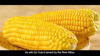 Origin and production of sweet corn in China  Sweet Corn A Path to Healthy Living