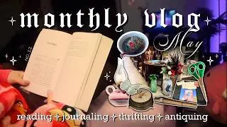 Introvert life ✧ Rainy days reading & journaling at home ✧⁺⊹ Whimsical thrift haul & pho date 🍜 vlog