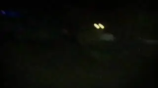 Ghost dog mini series trailer