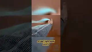 Glowing Ocean Phenomenon Explained