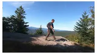 Devil&rsquo;s Path  in the Catskills, NY. NEU8 with momma bear and two cubs on West Kill summit
