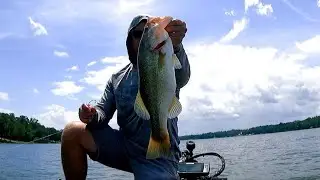 Catching bass at Logan Martin lake mid July 2025