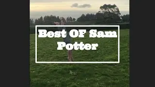 Best Of Sam Potter