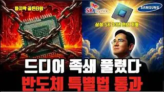반도체 특별법 드디어 통과 : 삼성전자, SK하이닉스 그리고 '진짜 수혜주'는 누구인가? 2년 만에 족쇄 풀린 대한민국 반도체, 내일부터 달라지는 것들!