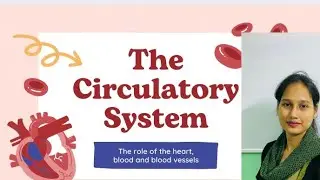 Blood circulation#heart#education#science 