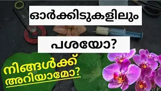 ഈ പശ കൊണ്ട് ഓർക്കിടുകൾക്കും ചെടികൾക്കും ഇരട്ടി ഗുണങ്ങൾ || HOW TO USE WETTING AGENT FOR ORCHIDS