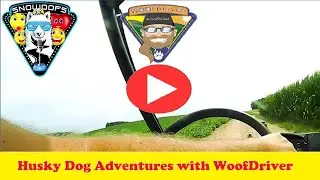 Husky Dogs Free Ranging Part 1