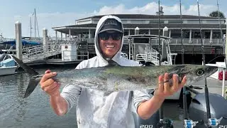 King Mackerel Catch & Cook!