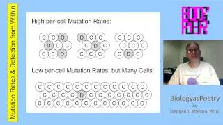 Mutation Rates and Defection from Within
