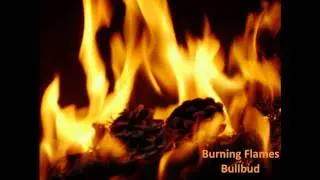 Onyan & Burning Flames - Bullbud 