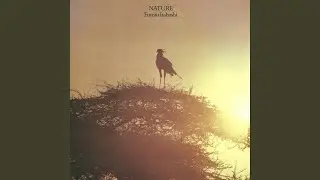Up Into The Sky