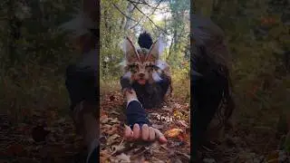New HYPER MOTION Yarn Tail !!🍁🌾#quadrobics #animalmask #catmask #halloweenmask #therian #fypage #fyp