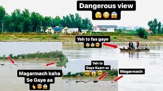Yamuna Mai Magarmach🐊|| Yamuna Ki Baadh || RKO HAPPY VLOGS#weeklyvlog#vlogger#crocodile#yamuna#ncr