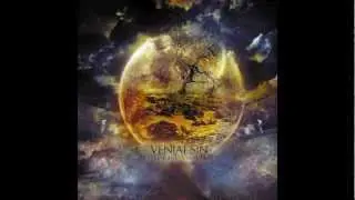 VENIAL SIN 