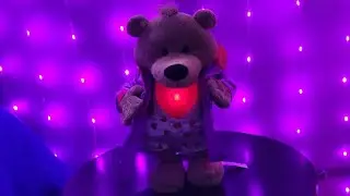 Gemmy 2008 Flirty Flasher Bear 