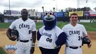 Southern Maryland Blue Crabs | Walk with Francis
