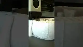 Skull Bowl by @ChelsCCT Timelapse at Thangs