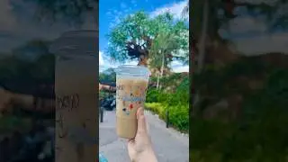 The best themed Starbucks on Disney property! #disney #animalkingdom #starbucks #disneyworld #chai