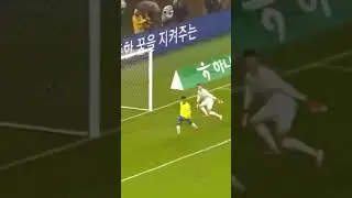 BRAZIL cooking KOREA🇧🇷☠️
