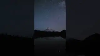 The Magic of Nature's Transitions | Shorts | Music